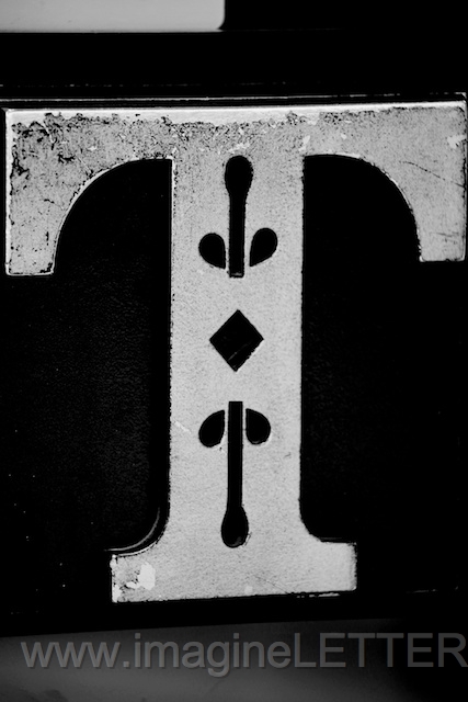 Wall_Art_Alphabet_Photography_Art_ 2192.jpg